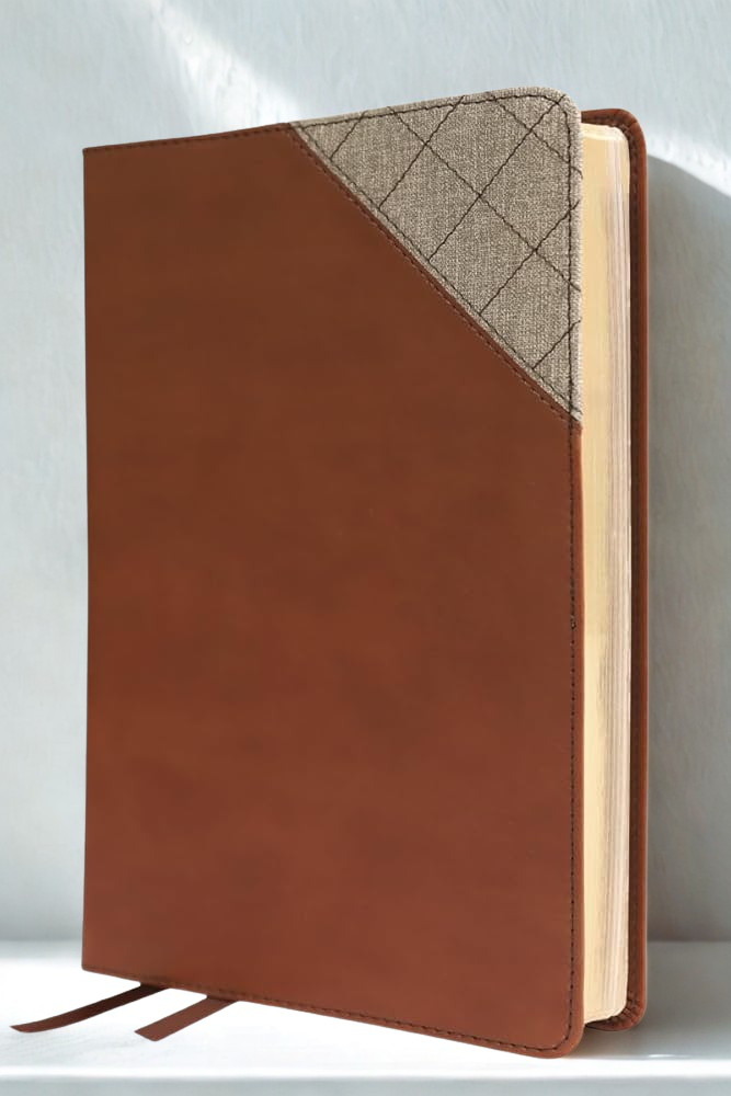 Biblia Catolica para regalos y ceremonias, color rosa, Cuero Reciclado (Catholic Bible for Gifts and Ceremonies--recycled leather, pink)