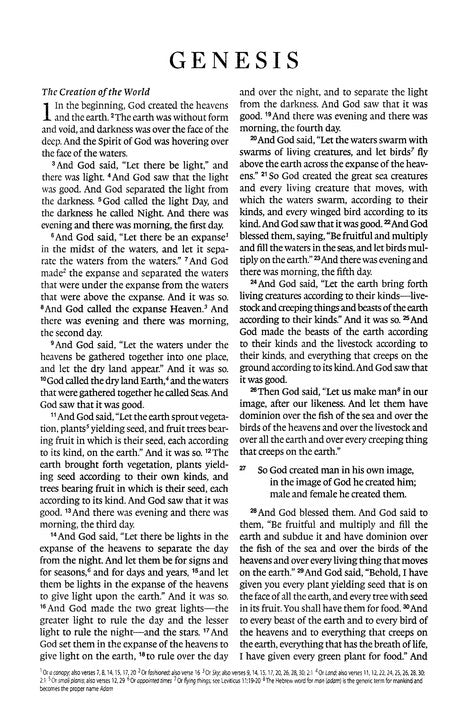 ESV Thinline Bible brown cover personalized gift open to Genesis page with readable text