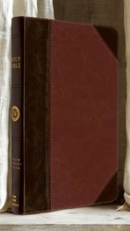 DeMartineau ESV Thinline Bible brown cover with two-tone leather and gold embossed text