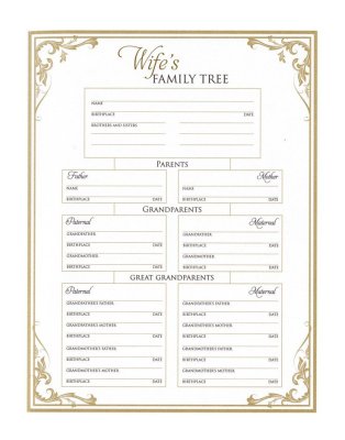 DeMartineau personalized family heritage Bible hardcover Wife's family tree page with detailed ancestor sections