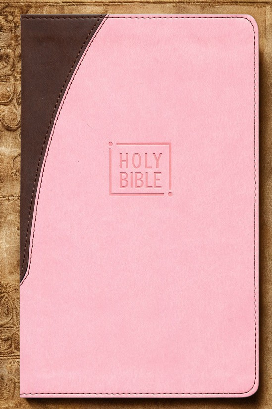 NIV pink and chocolate gift Bible with soft cover and Holy Bible embossed on front by DeMartineau
