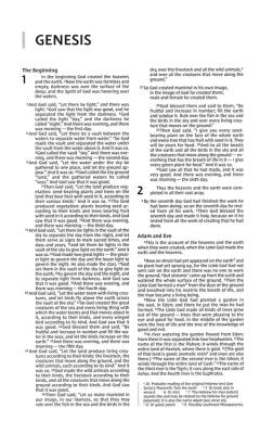 DeMartineau NIV pink and chocolate gift Bible open to the book of Genesis with clear readable text