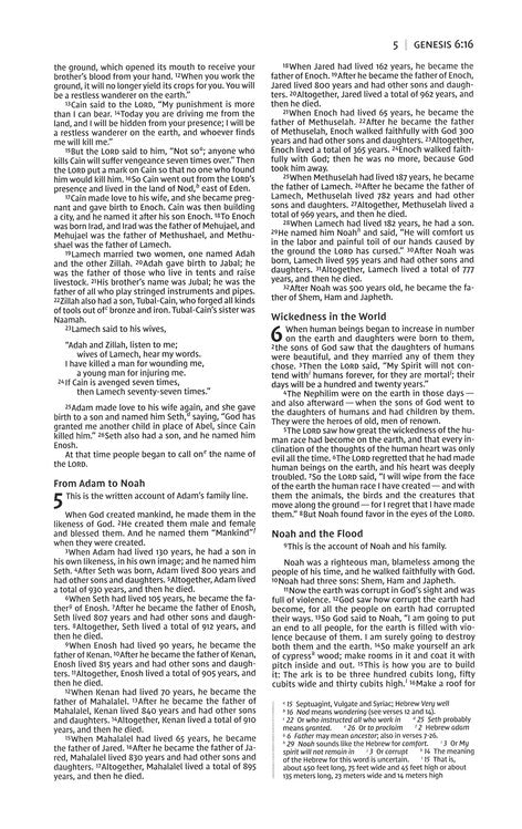 NIV pink and chocolate gift Bible by DeMartineau with personalized design for meaningful gifts