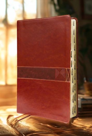 DeMartineau NIV Student Bible brown leathersoft cover with textured design and ribbon markers